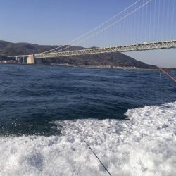 名田屋　はまちの飲ませづり